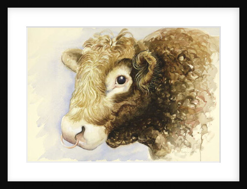 Adam the Bull, 2016 by Alison Cooper