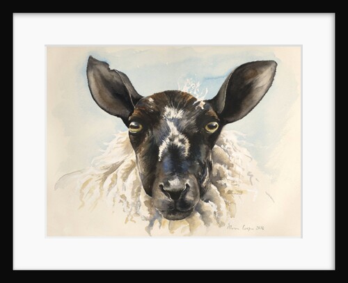 Hello Ewe, 2016 by Alison Cooper