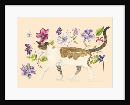 A Cat called Dave, 2017 by Alison Cooper