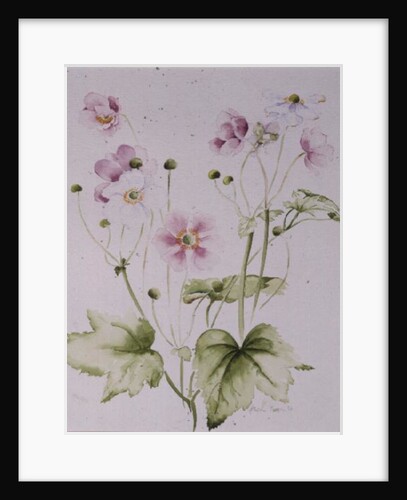 Hellebores, 1990 by Alison Cooper