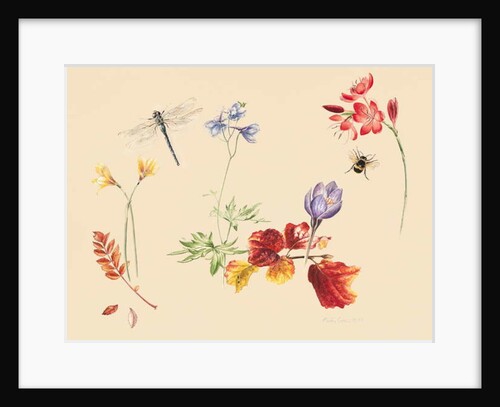 Autumn Flowers and insects, 2019 by Alison Cooper