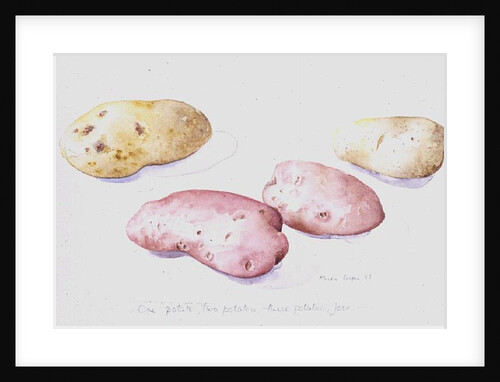 Potato Study, 1993 by Alison Cooper