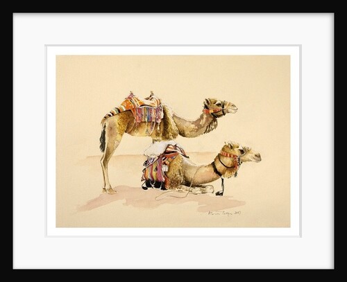 Camels from Petra, 2007 by Alison Cooper