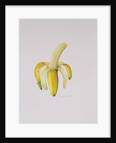 A Half-peeled Banana, 1997 by Alison Cooper