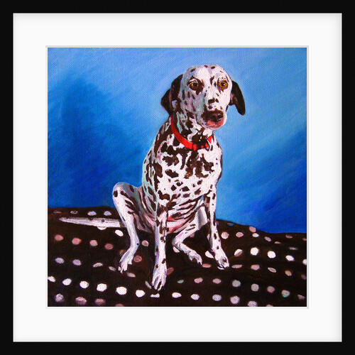 Spot on Spot, 2011 by Helen White