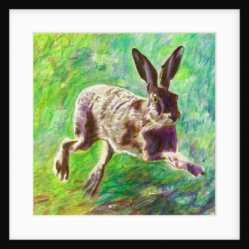 Joyful Hare, 2011 by Helen White