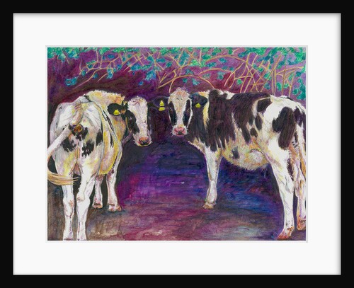 Sheltering Cows, 2011 by Helen White