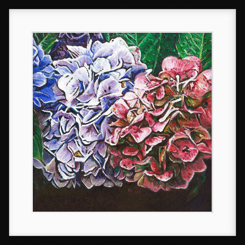 Hydrangeas, 2010 by Helen White