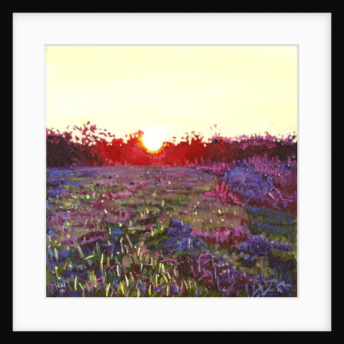 Farley Sunset, 2012 by Helen White