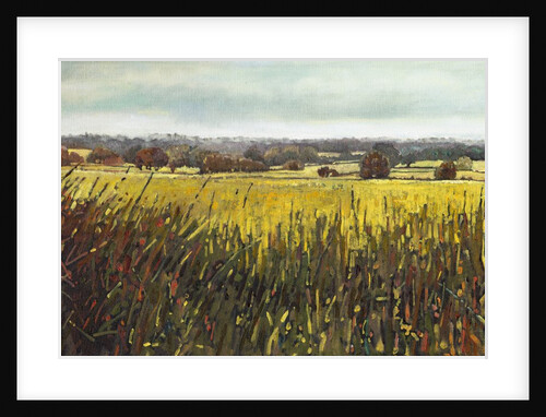 Towards Riseley, 2012 by Helen White