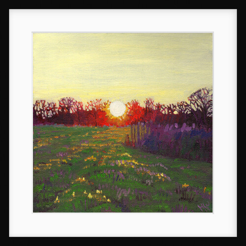 Path of Light, 2013 by Helen White