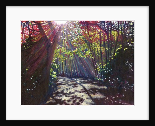 Scattered Light, 2013 by Helen White