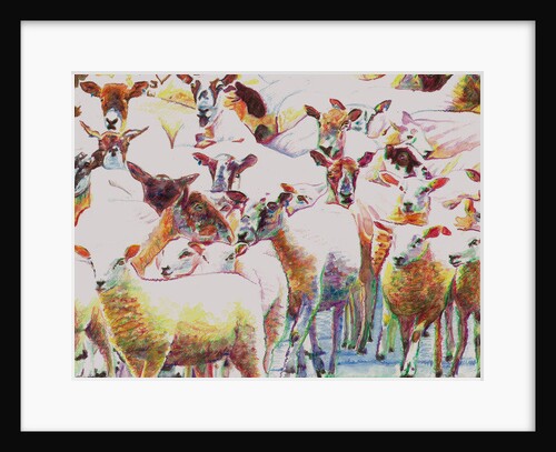 Flock, 2011 by Helen White