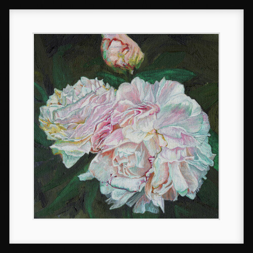 First Blooms, 2012 by Helen White