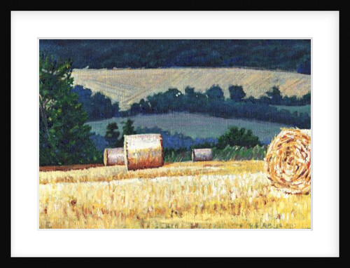 Haybales on Hillside, 2012, by Helen White