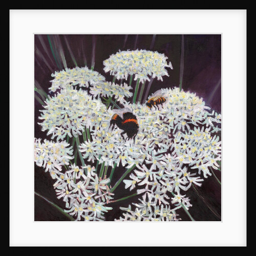 Inflorescence, 2015 by Helen White