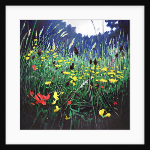 Meadow Glory, 2015 by Helen White