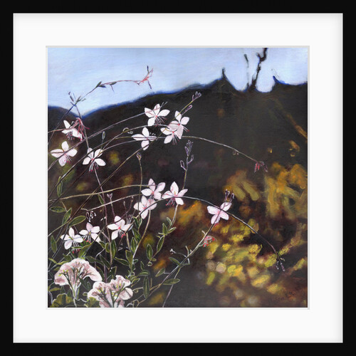 Provencal garden I by Helen White