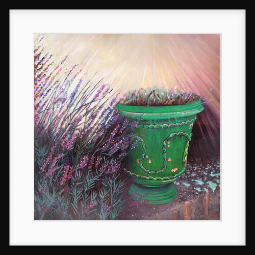 Provencal Garden II, 2014 by Helen White