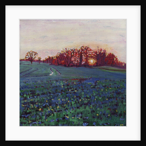 Sun greets the earth by Helen White