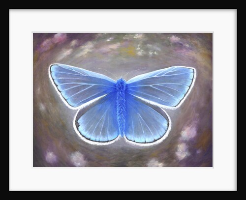 Uncommon Blue, 2015 by Helen White