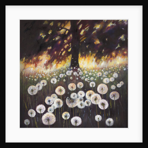 Field of Dreams, 2015, by Helen White