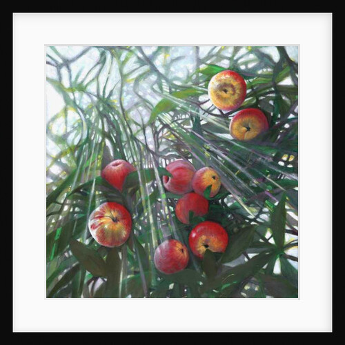 New Light on Eden, 2016 by Helen White