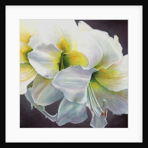 Pure Potential, 2016 by Helen White