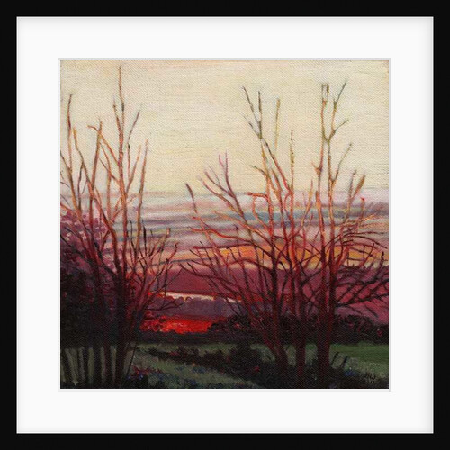 Winter's Light, 2012 by Helen White