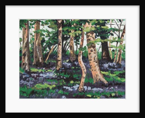 Bluebell Wood, 2009 by Helen White