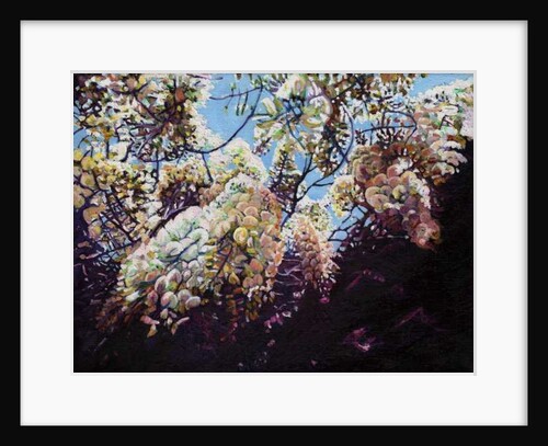 Wisteria, 2012 by Helen White