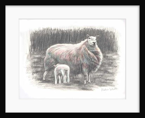 Proud, 2016 by Helen White