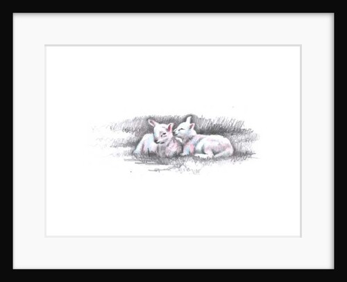 Twinned, 2016 by Helen White