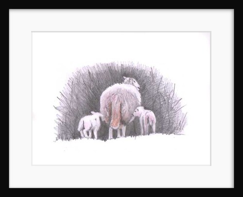 Follow, 2016 by Helen White