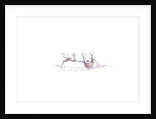 Contented, 2016 by Helen White