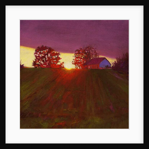 Between Trees, 2013 by Helen White