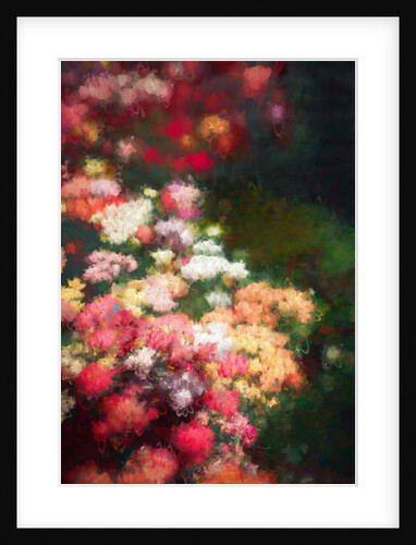 Flower Border, 2018 by Helen White