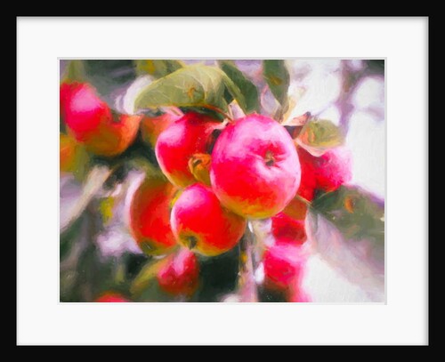 Fruit of Life, 2018 by Helen White