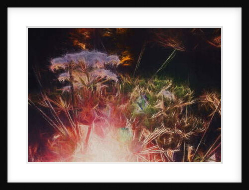 Radiant Hedgerow, 2018 by Helen White