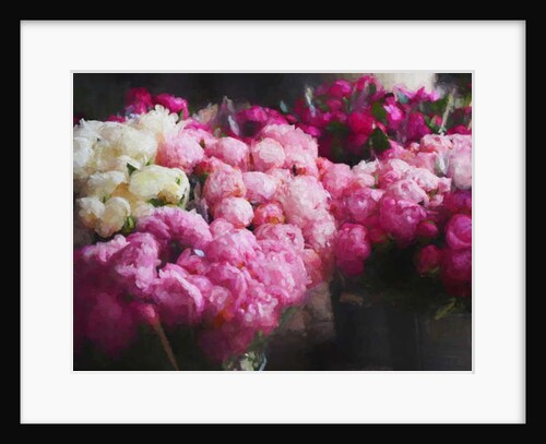 Peony Season, 2018 by Helen White