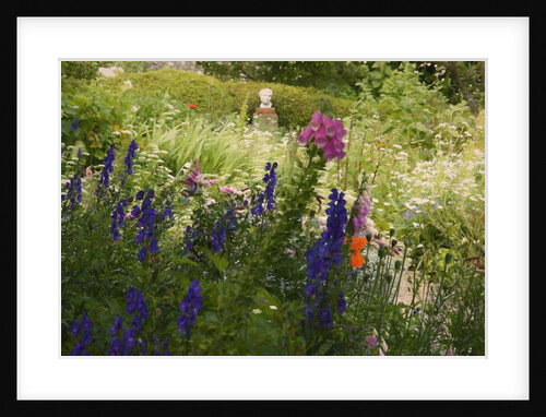 Summer Abundance, 2018 by Helen White