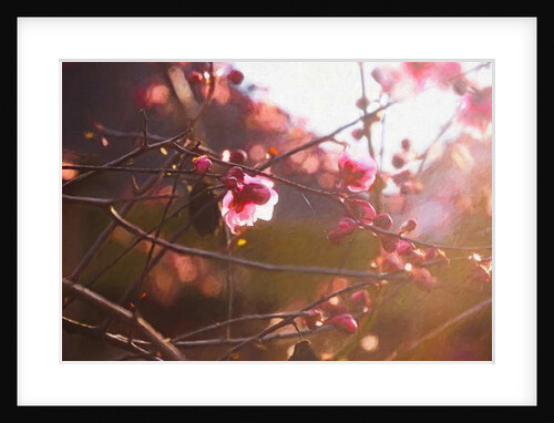 First Light of Spring, 2018 by Helen White