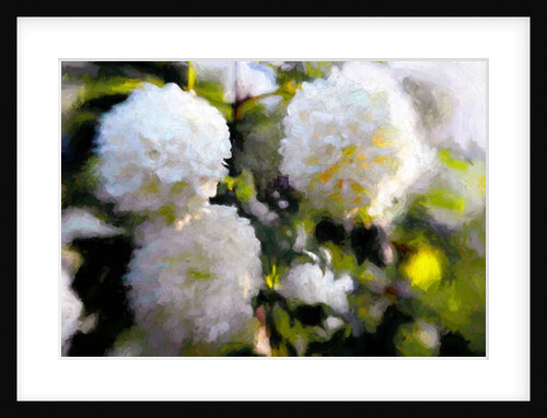 Big Blowsy Blooms, 2018 by Helen White