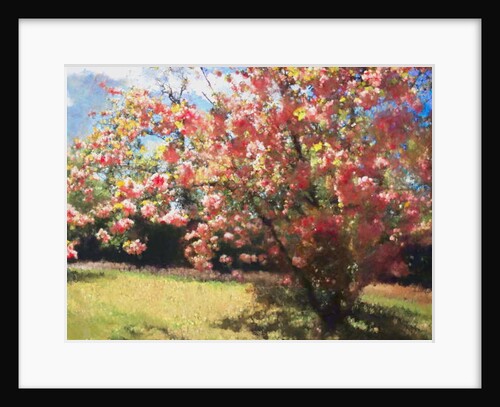 Cherry Blossom, 2018 by Helen White