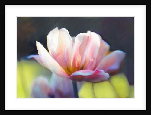 Emergence III, 2018 by Helen White