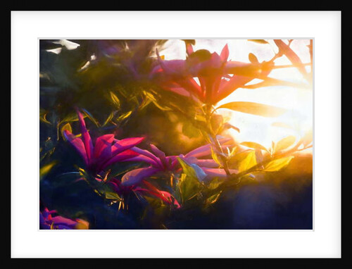 Last Golden Moment, 2018 by Helen White