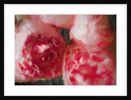 Pink Peonies, 2018 by Helen White