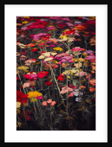 Wildly Colourful, 2018 by Helen White