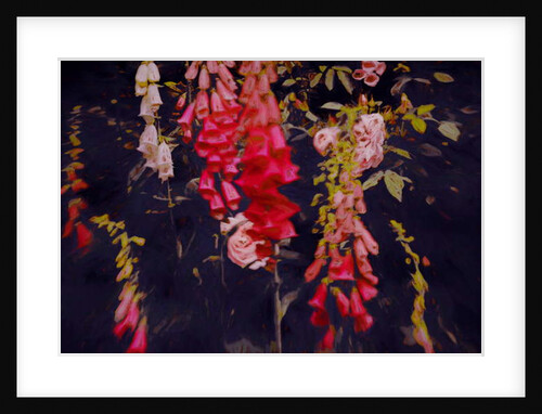 Even in Dark Places, 2018 by Helen White