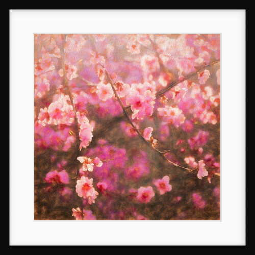Spring Sprung; 2018 by Helen White